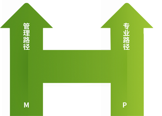 晋升路径